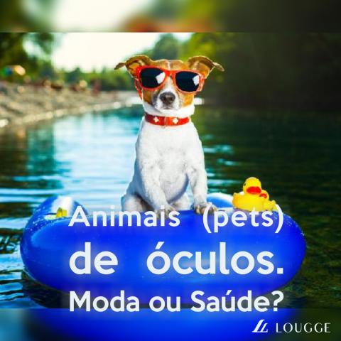 Animais (pets) de óculos. MODA ou SAÚDE? #louggeblog